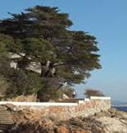 Visita guiada al Camí de Ronda de S’Agaró