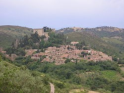 Avanç de les activitats d'enguany