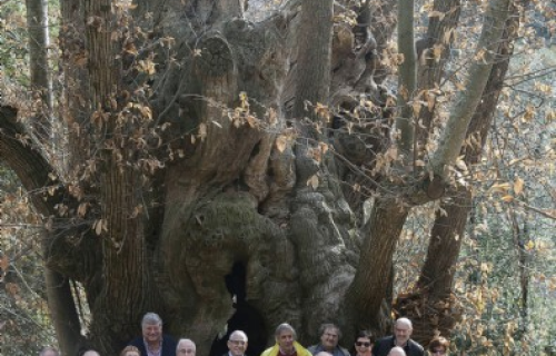 Sortida al Montseny