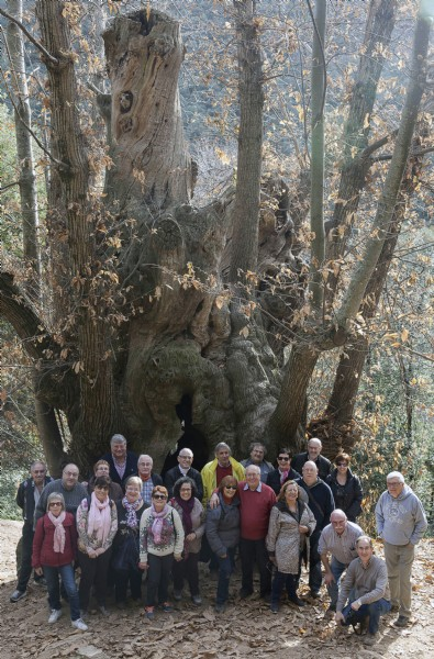 Sortida al Montseny