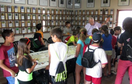 Classes a la torre
