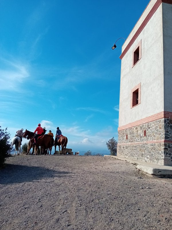 Visites guiades del gener del '24