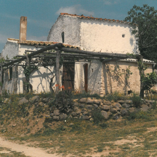 Cal Nino