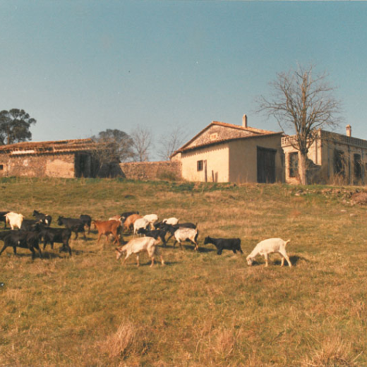 Ca l'Amatller_2