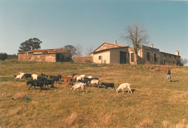 Ca l'Amatller_2