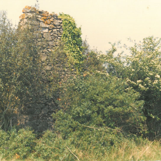 Can Barretina runes