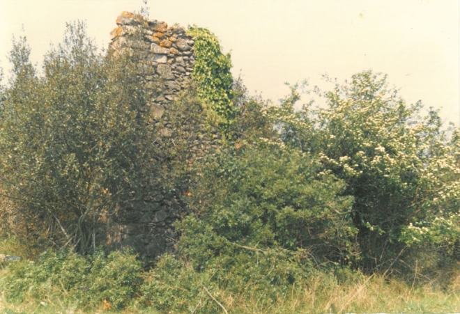 Can Barretina runes
