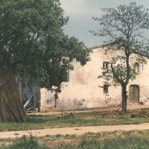 Can Falló