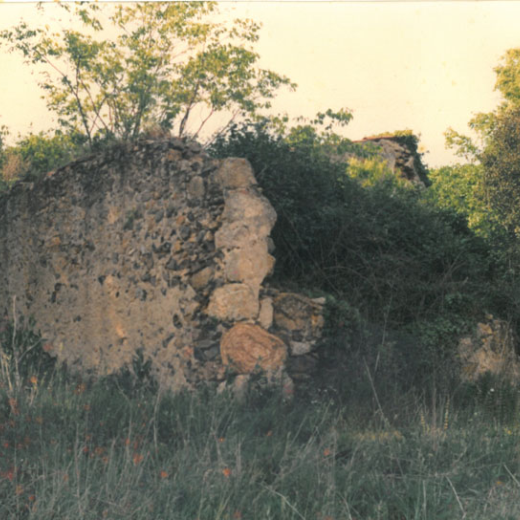 Can Genís
