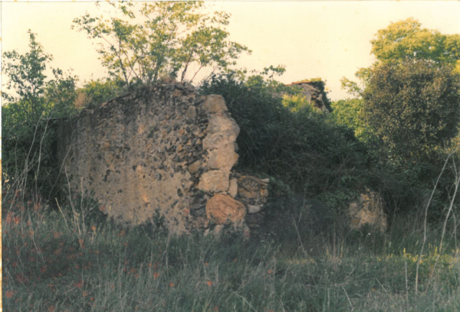 Can Genís