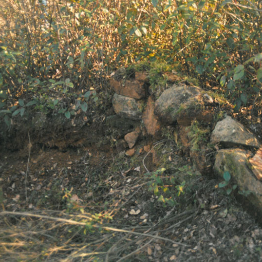 Can Montells (torre Cartellà)