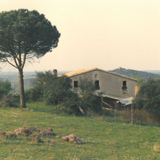 Can Piferrer