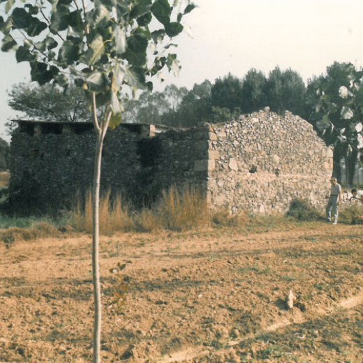 Can Puig sínia