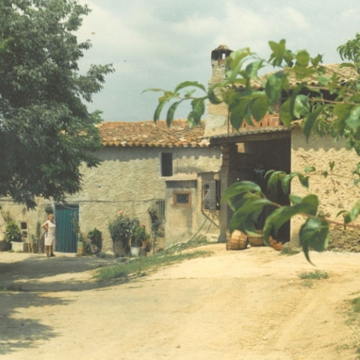 Can Ventura