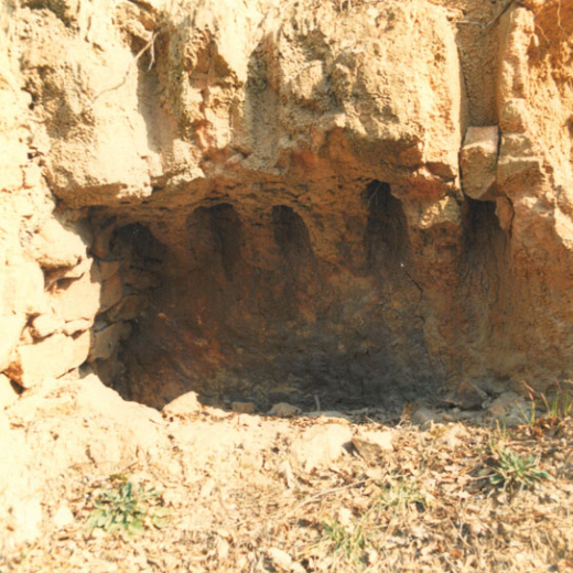 Forn Romá