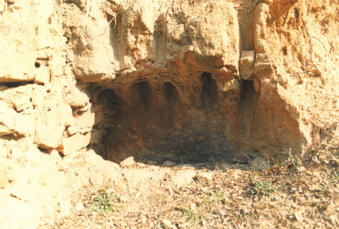 Forn Romá