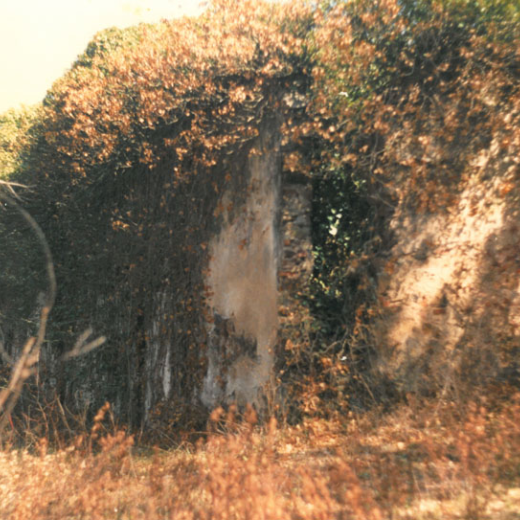 La Barrera runes