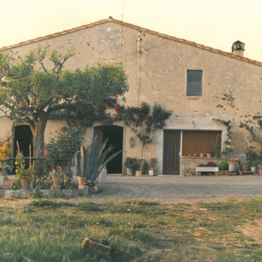 La pineda