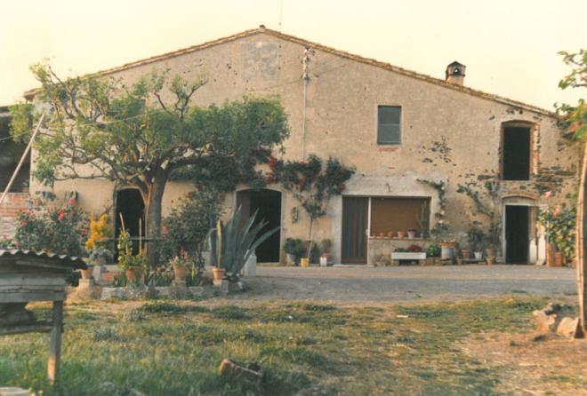 La pineda