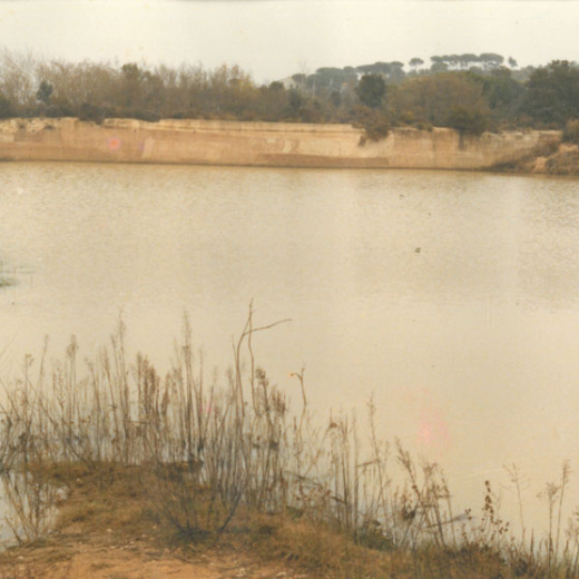 Pantans de Montbarbat