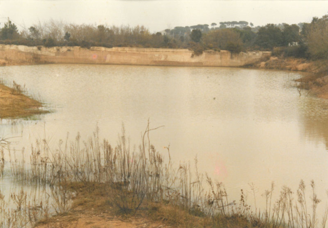 Pantans de Montbarbat