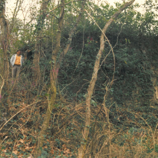 Pou del Glaç