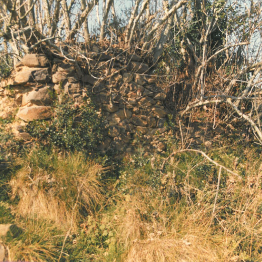 Runes Can Roca (Can Tihó)
