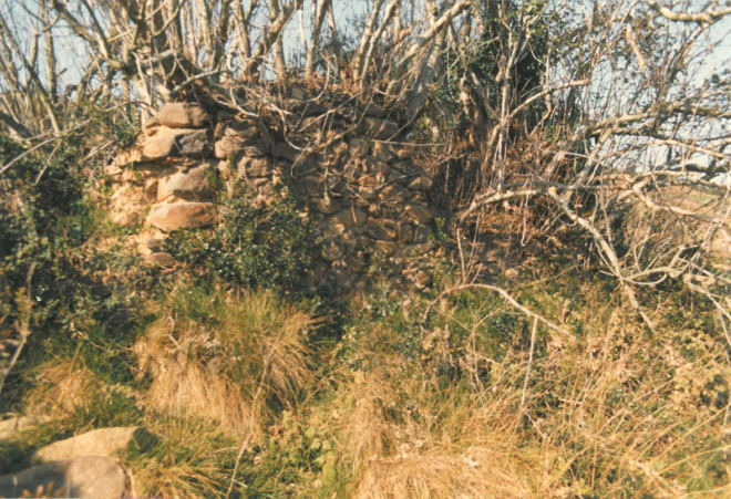 Runes Can Roca (Can Tihó)