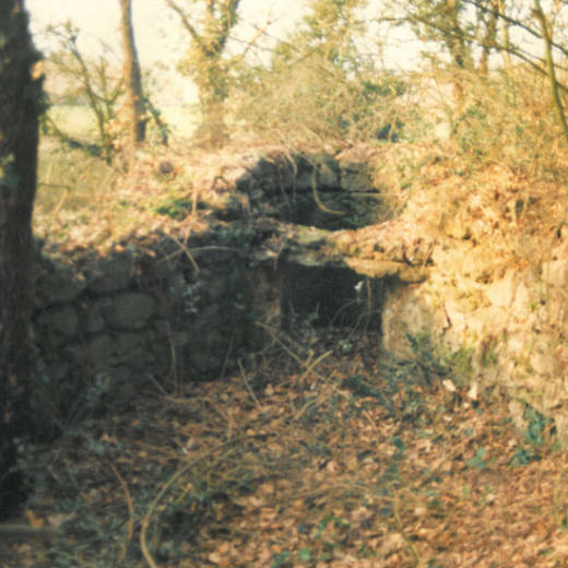 Runes del Molí (Can Raurell )