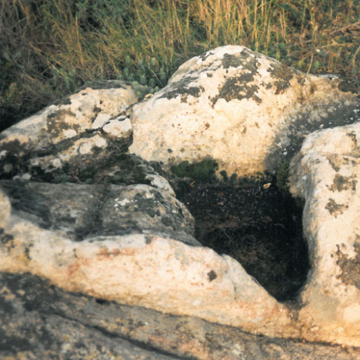 Signes ibèrics