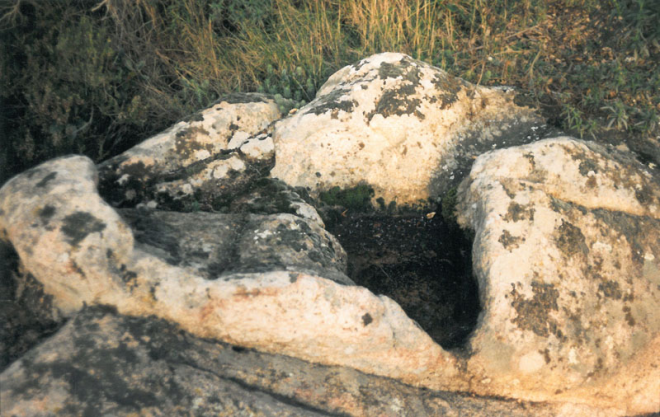 Signes ibèrics