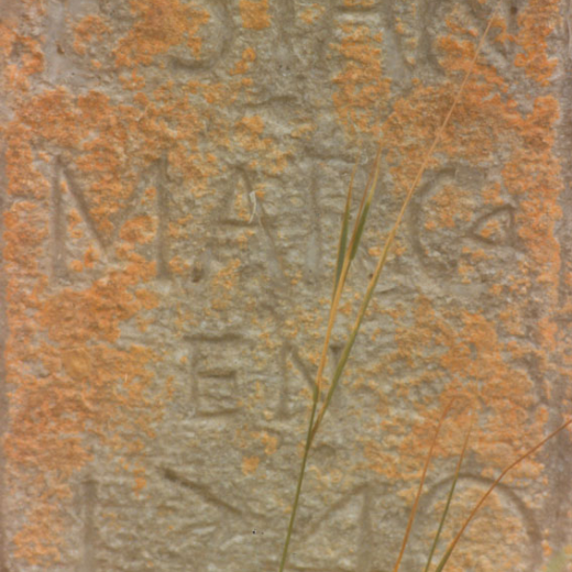 Terme de l'Estany.1