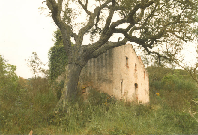 els Avellaners