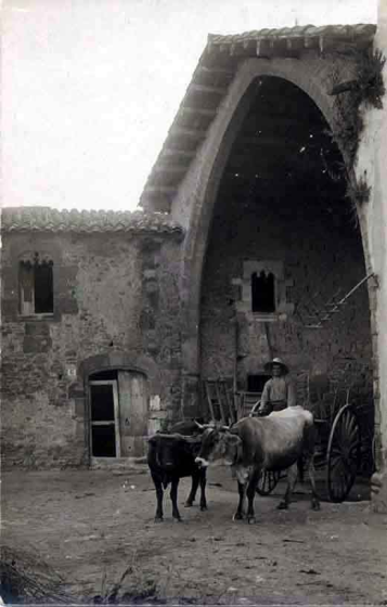 Llotja d'Ullastre