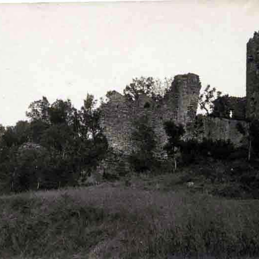 Castell de Montagut. Vista general