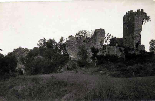 Castell de Montagut. Vista general