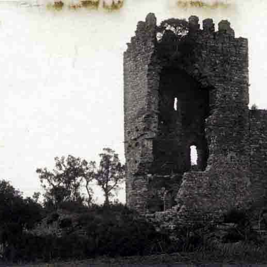 Castell de Montagut. Vista general