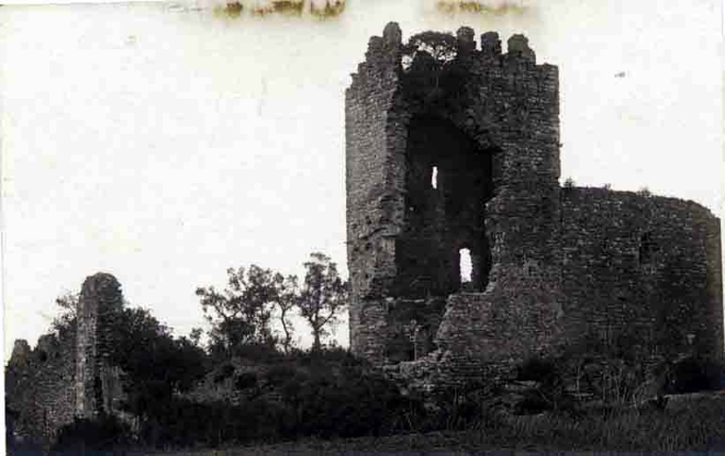 Castell de Montagut. Vista general