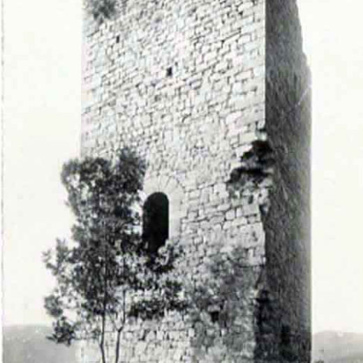Torre Cavallera