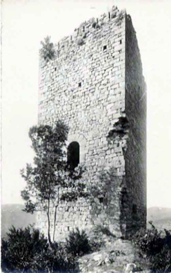 Torre Cavallera