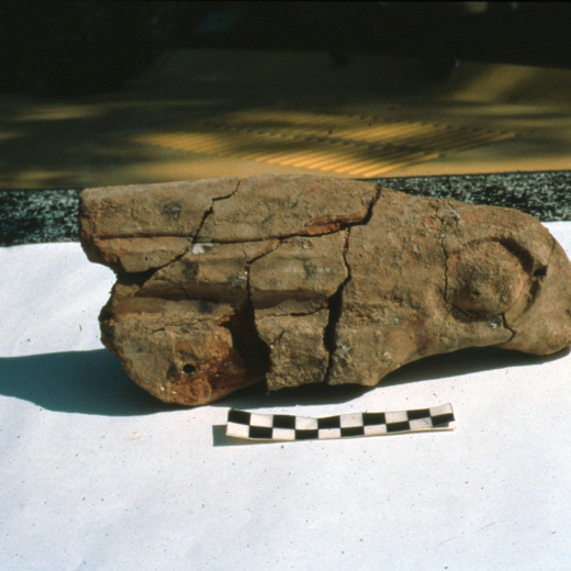 Cap foguer de la casa VI de les excavacions al poblat ibèric de Montbarbat