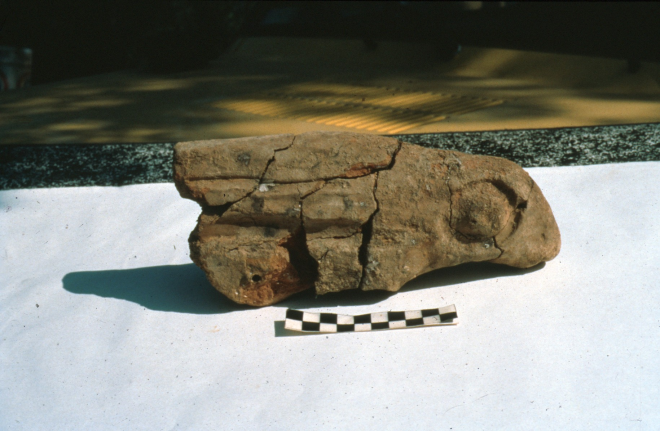 Cap foguer de la casa VI de les excavacions al poblat ibèric de Montbarbat