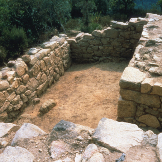 Excavacions Montbarbat a la Torre I