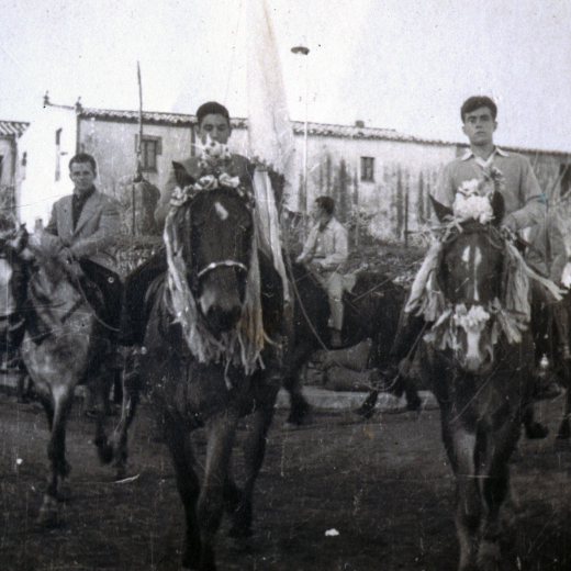 Cavalls enramats en la benedicció de Sant Antoni el 17 de gener de 1953. El que porta el pandó és en Miquel Bagot i els cordonistes són en Pere Barceló el de l'esquerra i Narcís Codina l'altre.