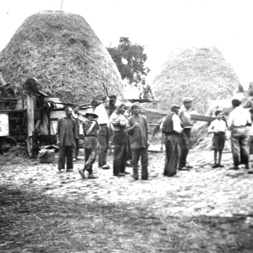 El batre a l'era de Puigtió amb la màquina 