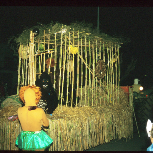 Festa de carnaval de 1996