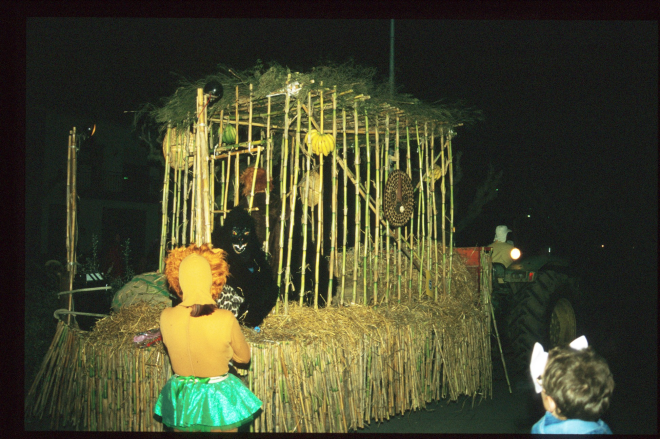 Festa de carnaval de 1996