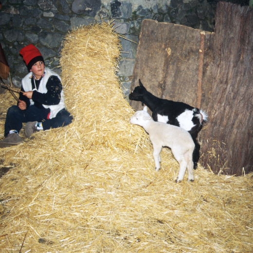 Pessebre vivent a Sant Jordi. Un pastor - l'Albet Verdaguer Codina -.