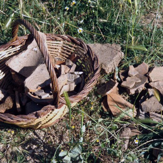 Restes romanes trobades prop de Can Sagués procedents del poblat romà localitzat a l'hort d'en Bach
