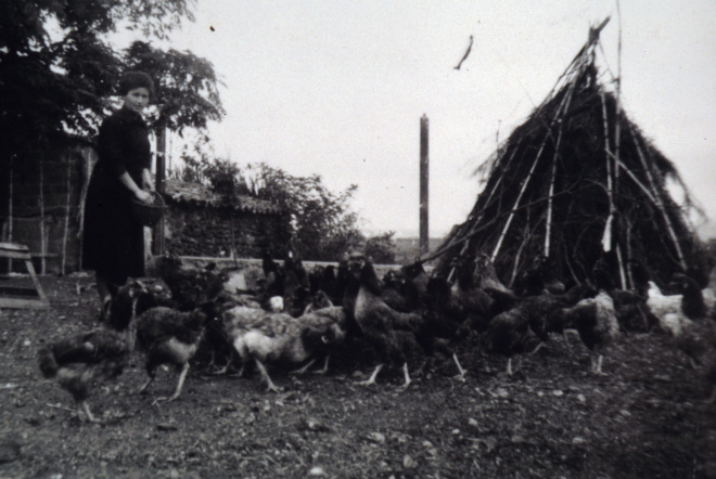 La Dolors Pascual de l'antiga masia Can Tomàs quan era una casa de pagès en plena activitat, donant menjar a les gallines. 

Avui la casa ha estat transformada en restaurant recuperant l'antic nom de Palau de Foixà.